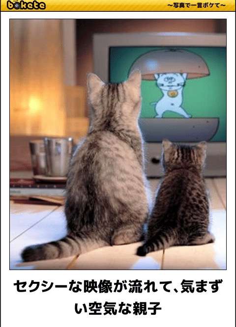 テレビを観ていて気まずくなるシーン