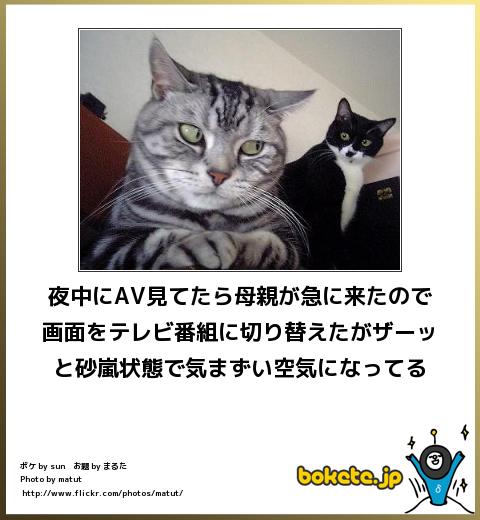 テレビを観ていて気まずくなるシーン
