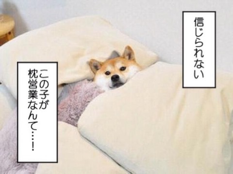 テレビを観ていて気まずくなるシーン