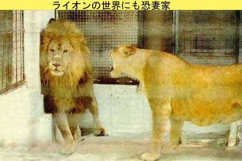 スギちゃんみたいに喋りながら梅雨を迎えるぜぇ〜