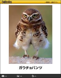 スギちゃんみたいに喋りながら梅雨を迎えるぜぇ〜