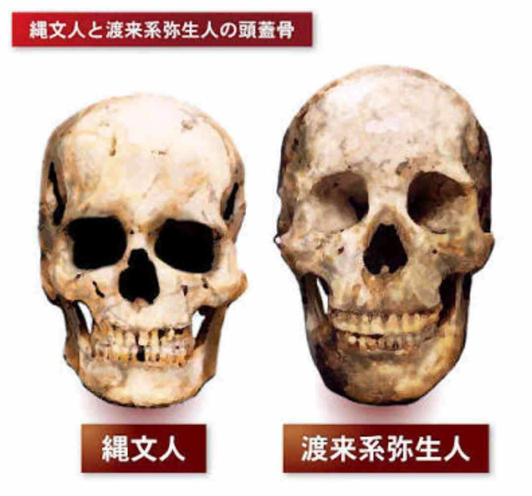 薄い顔に生まれたからこそ！