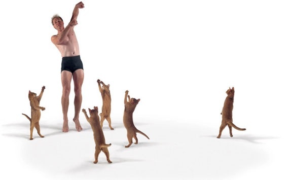 動物画像を貼って運動会開催するトピ