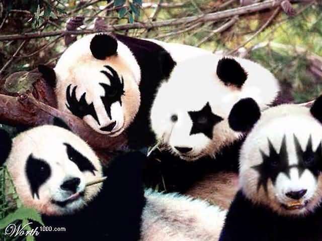 動物画像を貼って運動会開催するトピ