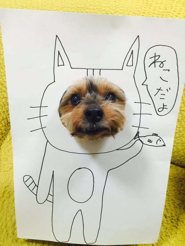 動物画像を貼って運動会開催するトピ