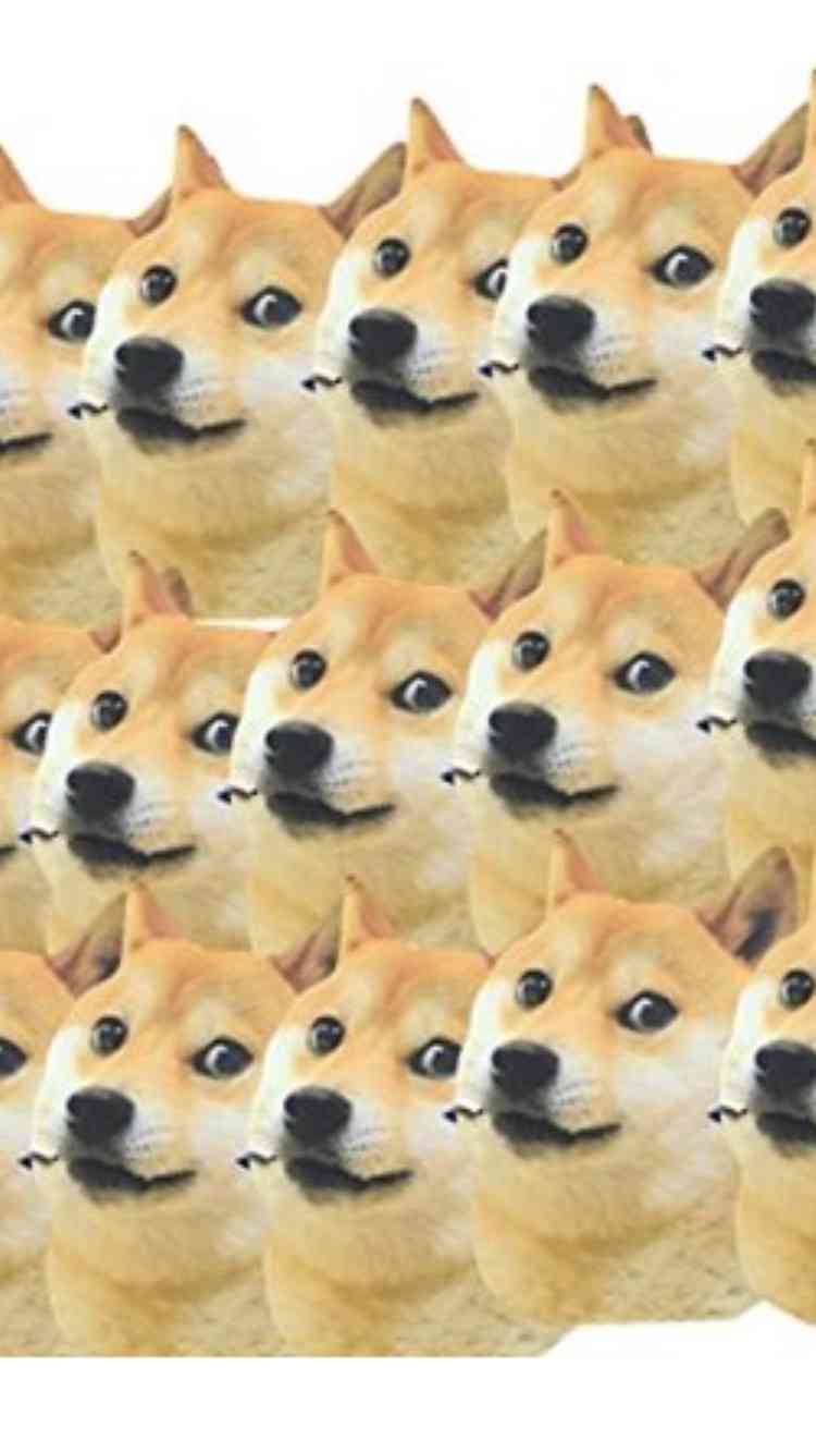 動物画像を貼って運動会開催するトピ