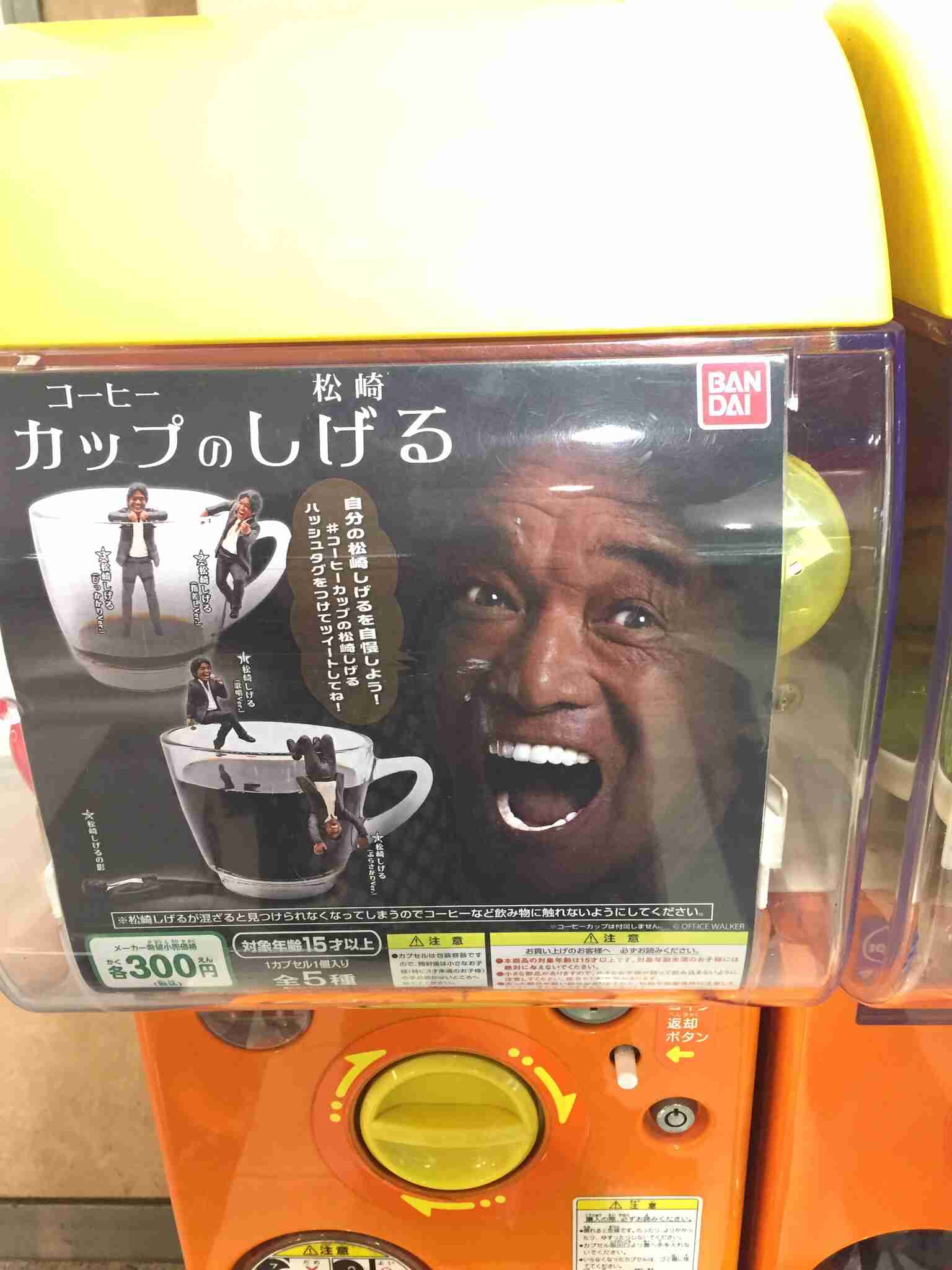 気になったけどやらなかったガチャガチャ