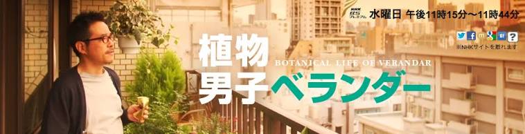 観たことあるドラマに+押すトピ