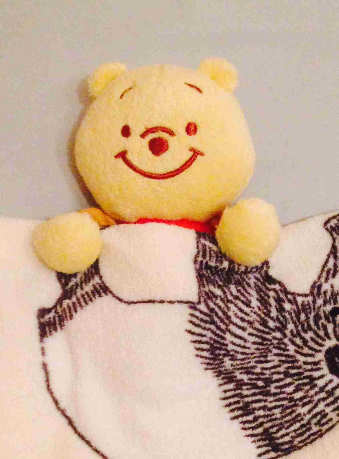 画像を貼りつつ雑談するトピ