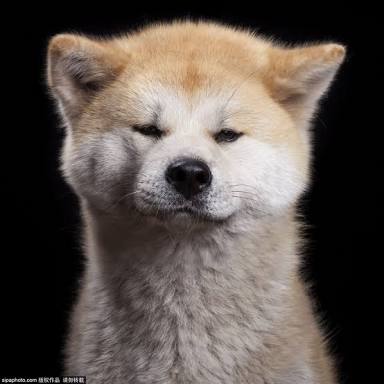 画像を貼りつつ雑談するトピ