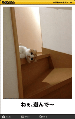 画像を貼りつつ雑談するトピ