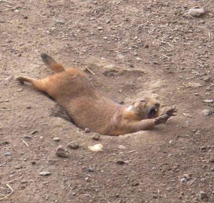 LINEで使えそうな画像