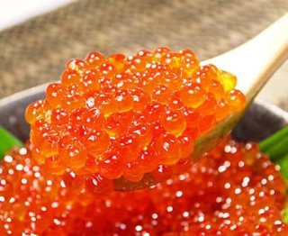 美味しそうな食べ物貼ろう