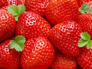 美味しそうな食べ物貼ろう