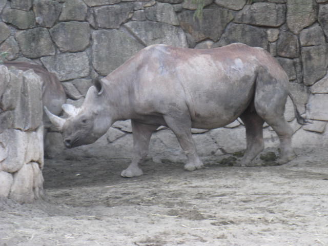 アジサイの画像を貼るトピ