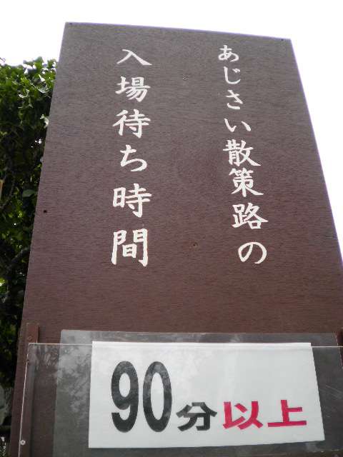 アジサイの画像を貼るトピ