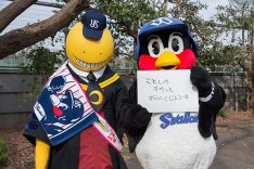 プロ野球マスコットキャラクター達のおもしろ画像