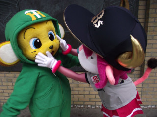 プロ野球マスコットキャラクター達のおもしろ画像