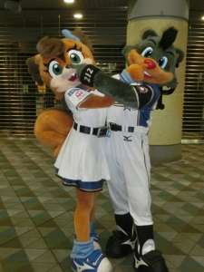 プロ野球マスコットキャラクター達のおもしろ画像