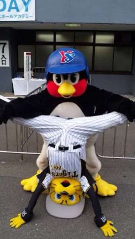 プロ野球マスコットキャラクター達のおもしろ画像