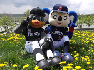 プロ野球マスコットキャラクター達のおもしろ画像