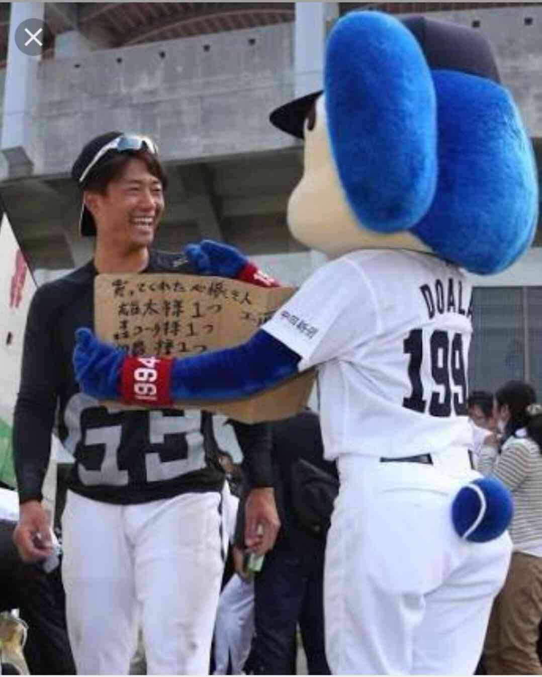 プロ野球マスコットキャラクター達のおもしろ画像