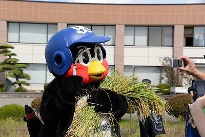 プロ野球マスコットキャラクター達のおもしろ画像