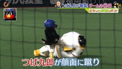 プロ野球マスコットキャラクター達のおもしろ画像