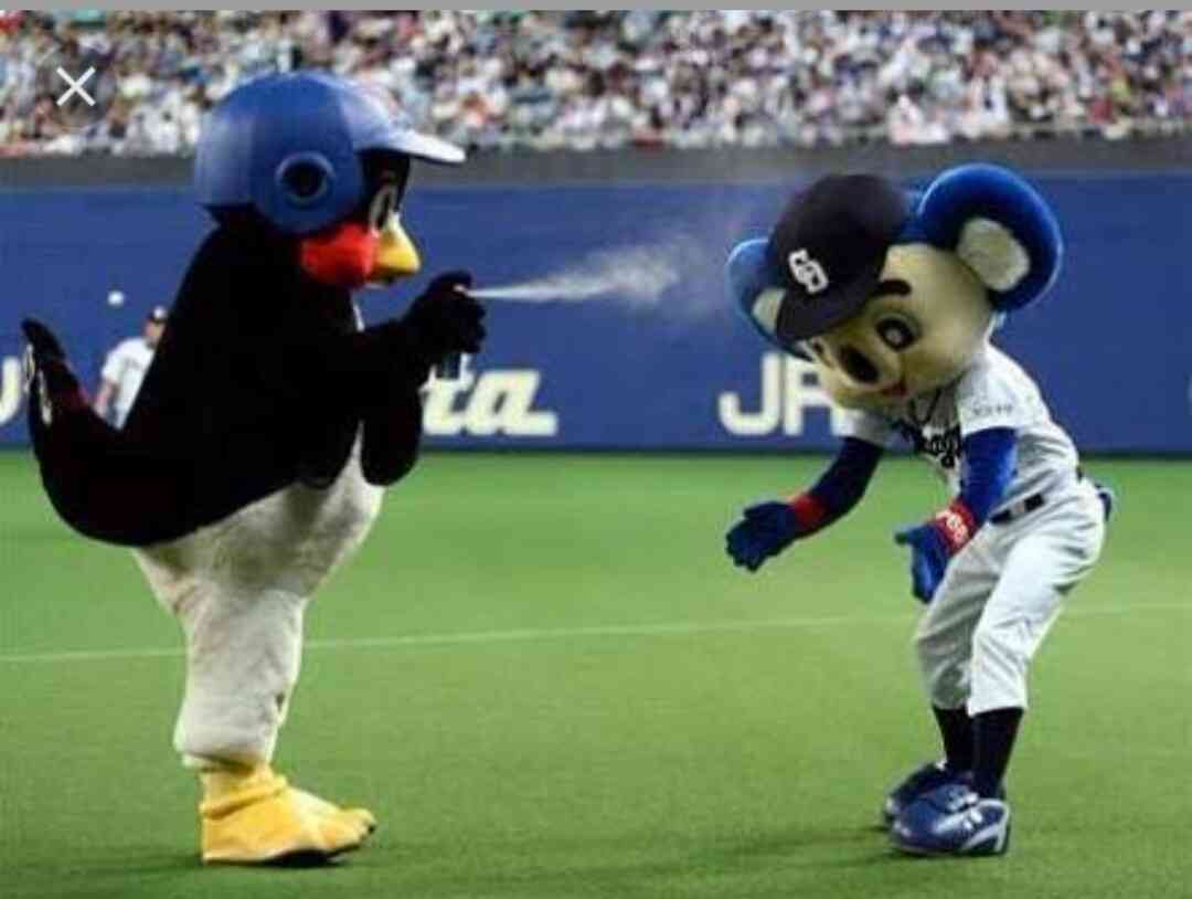 プロ野球マスコットキャラクター達のおもしろ画像