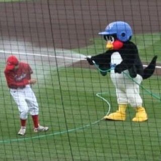 プロ野球マスコットキャラクター達のおもしろ画像