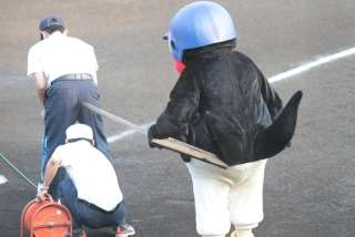 プロ野球マスコットキャラクター達のおもしろ画像