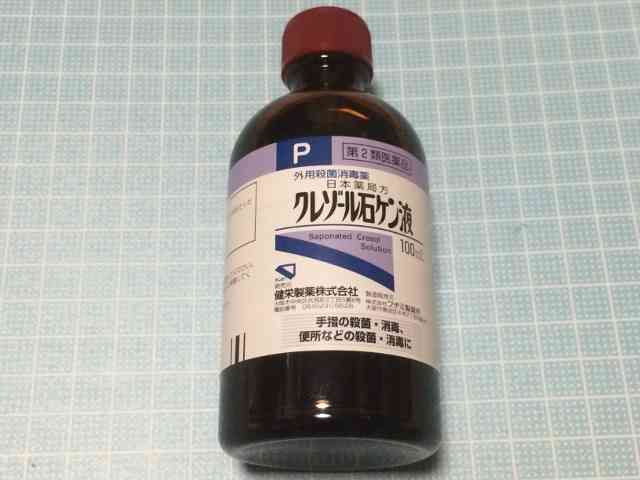 庭に来る野良猫対策