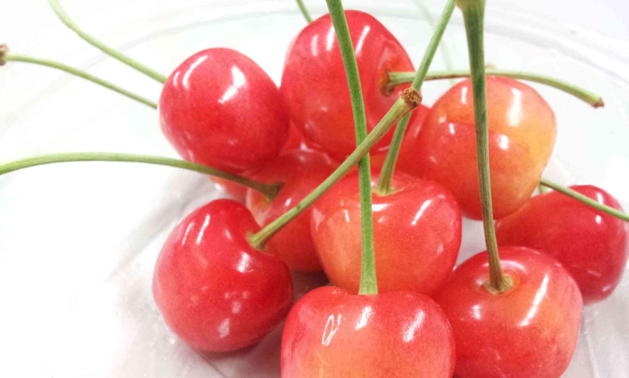 好きな夏季限定の食べ物は?