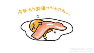 録画の消化に追われてる人