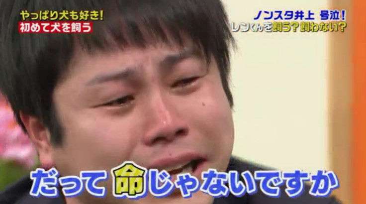ウソくさいと思う画像を貼るトピ