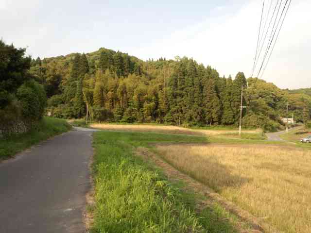 【田舎住みの人】住んでる町がどれくらい田舎か説明しよう!