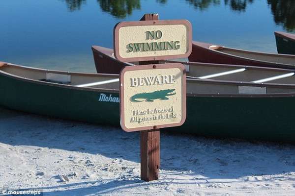 ディズニーワールドの人工湖で2歳男児がワニに襲われ溺死