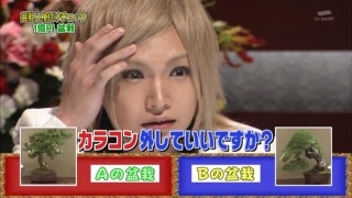 金髪が似合う日本の有名人の画像を貼るトピ