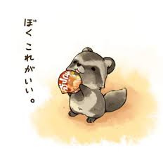 【画像】アライグマの画像が集まるトピ