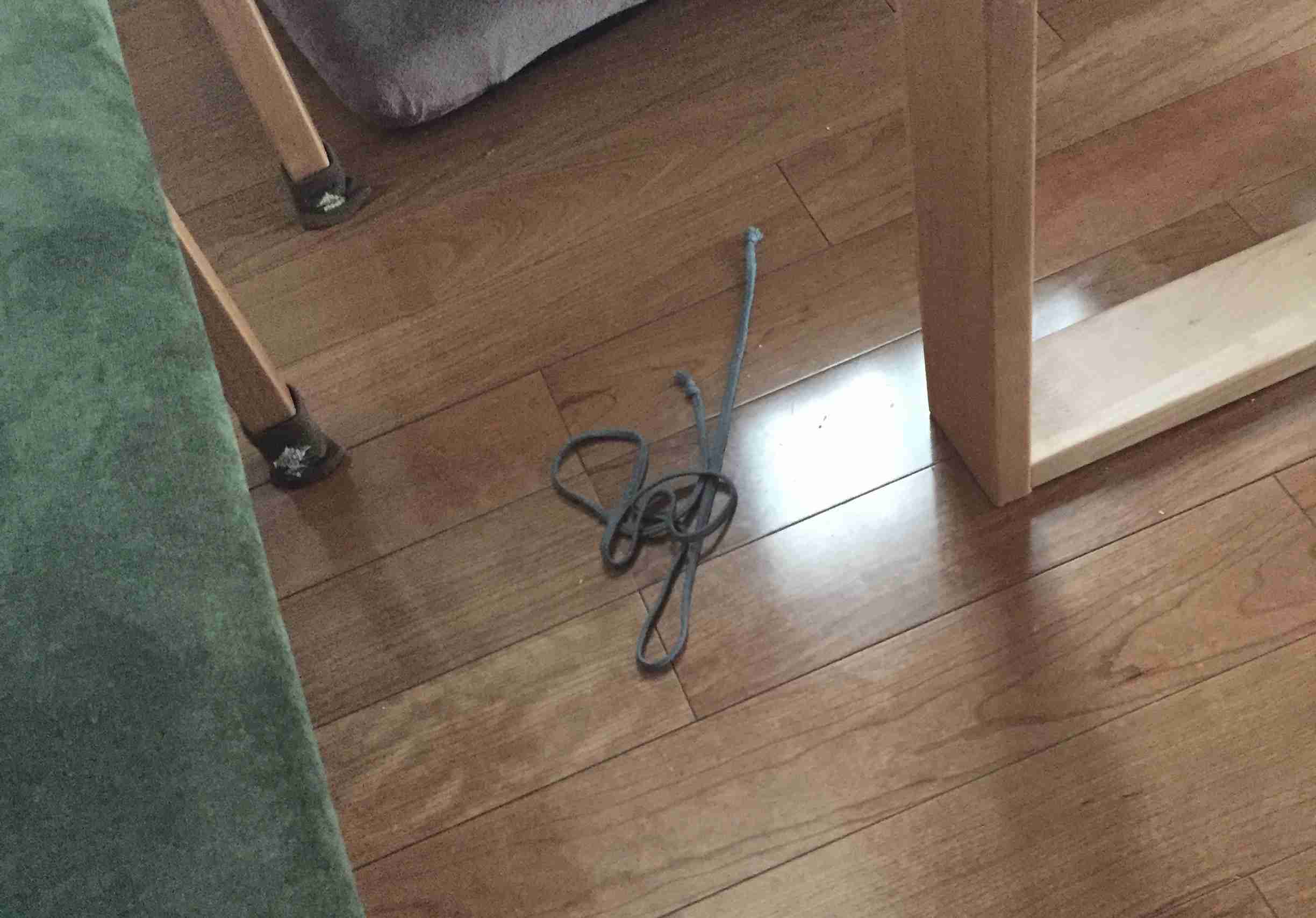 思わず笑っちゃった恥ずかしい見間違え