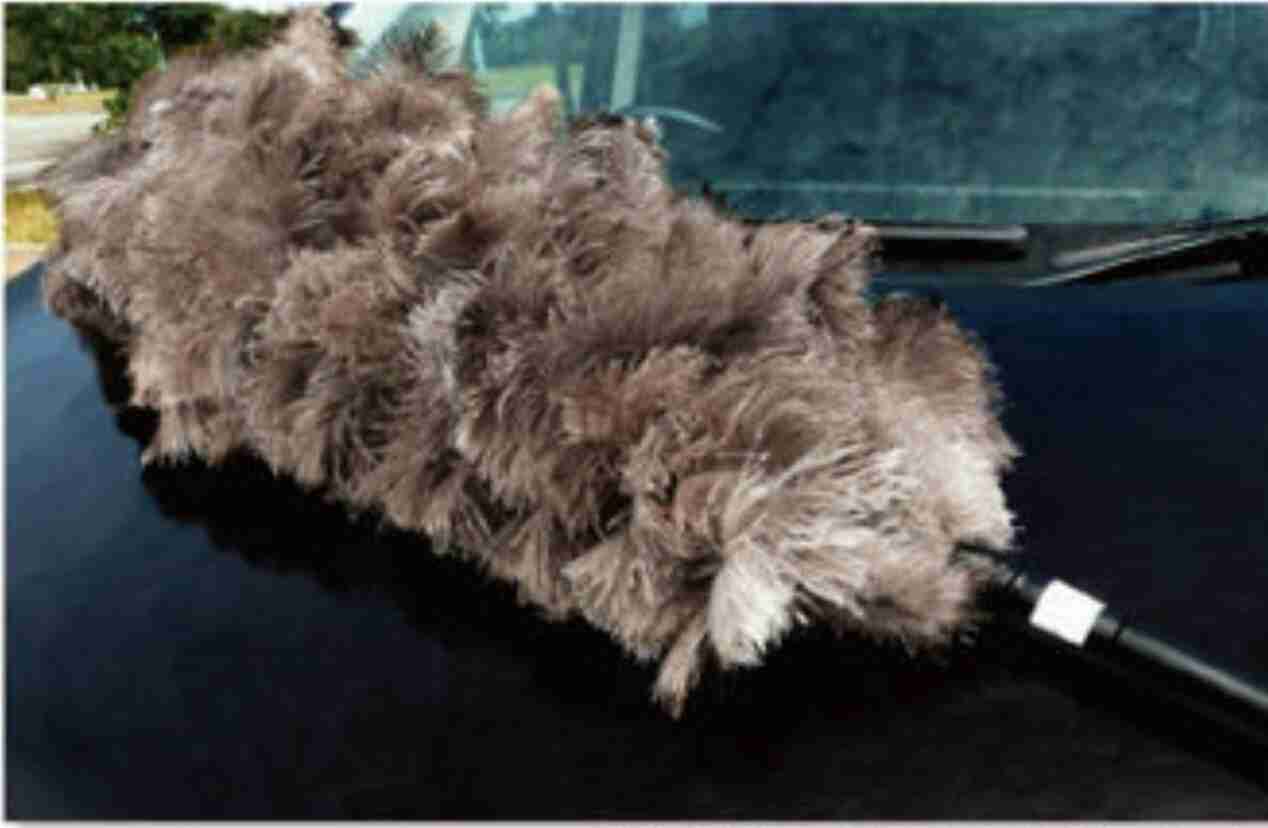 思わず笑っちゃった恥ずかしい見間違え