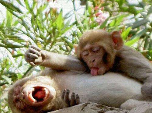 思わず笑っちゃった恥ずかしい見間違え