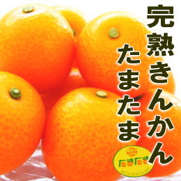 思わず笑っちゃった恥ずかしい見間違え