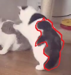 世界一ゆるい猫のケンカ、ペタペタパンチが可愛すぎるw