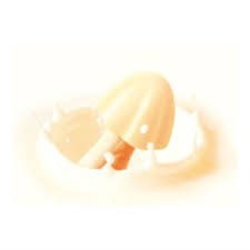 ホワイトチョコ好き集まれー！