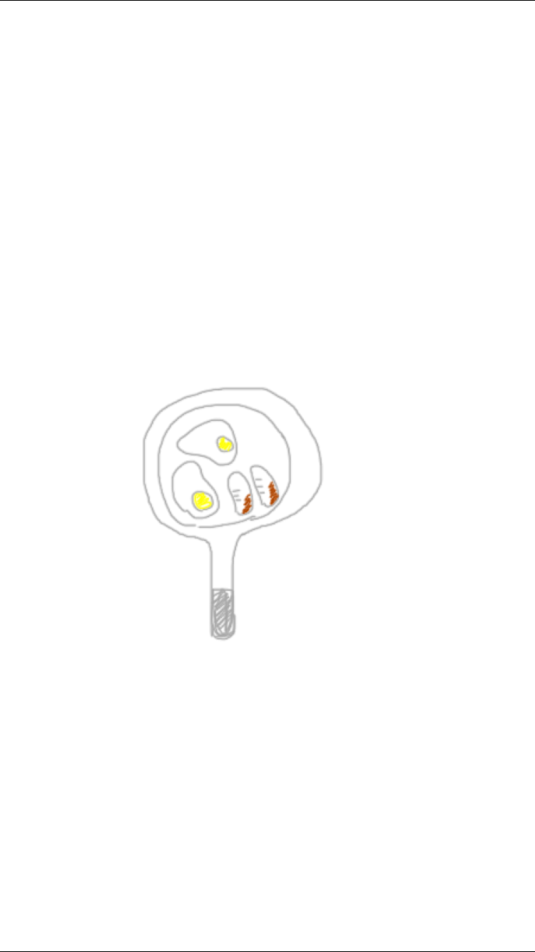 今日食べた朝食の絵を描きましょう✏️