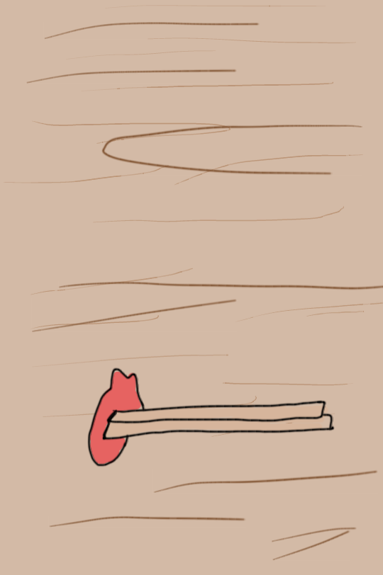 今日食べた朝食の絵を描きましょう✏️