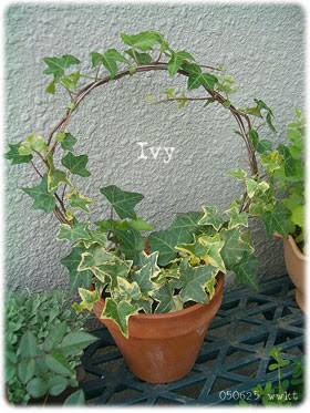 作ることが好きな人（ハンドメイド、DIY、何でも）