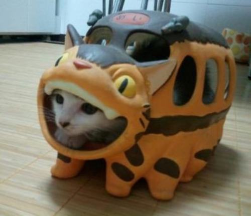 【画像】はまりまくる動物たち