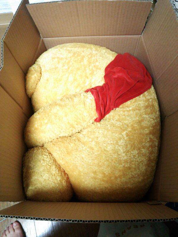 【画像】はまりまくる動物たち